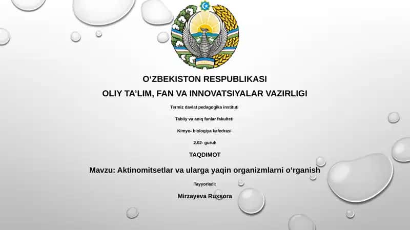Aktinomitsetlar va ularga yaqin organizmlarni oʻrganish 1