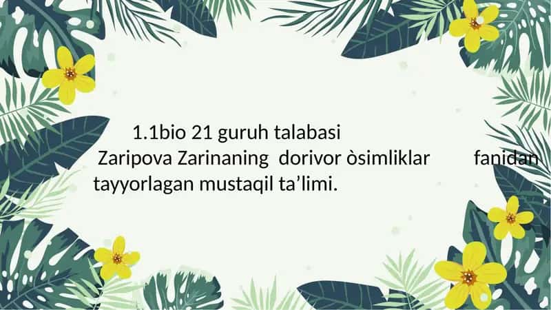 o'rta Osiyo allomalarining dorivor o'simliklarni o'rganishga qo'shgan hissasi 1