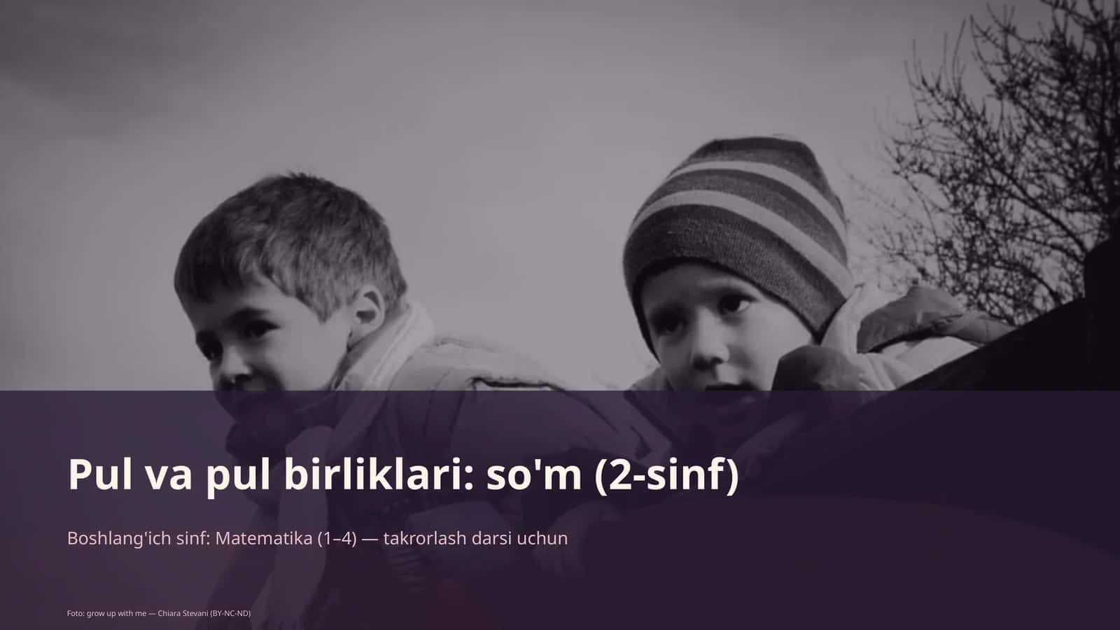 Pul va pul birliklari: so'm (2-sinf) 1