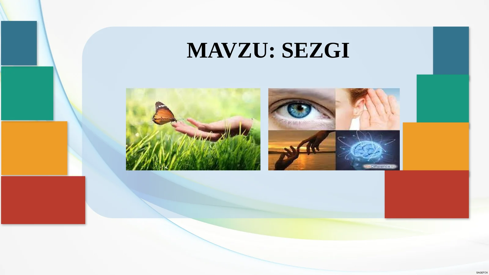 SEZGI 1