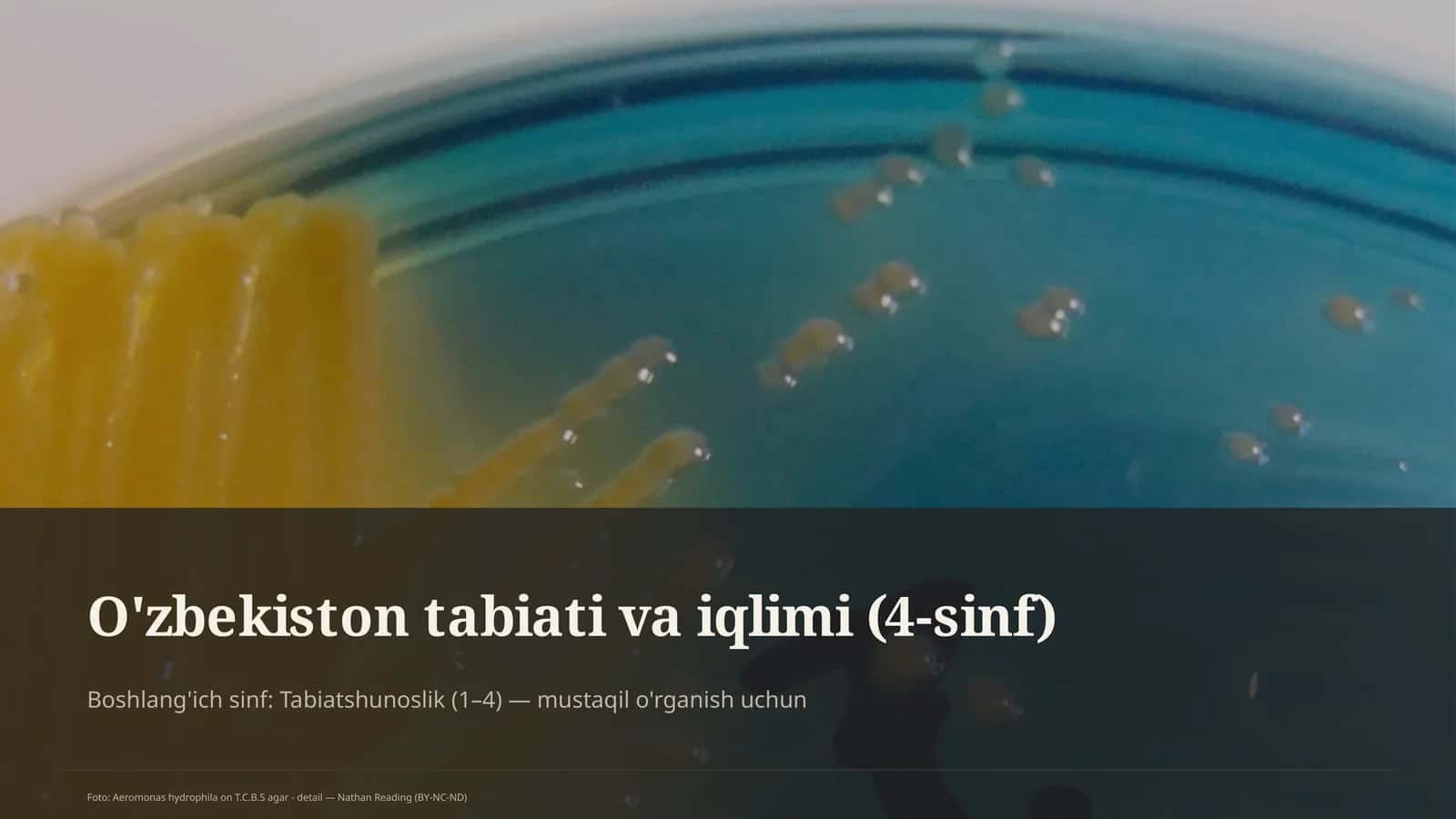O'zbekiston tabiati va iqlimi (4-sinf) 1