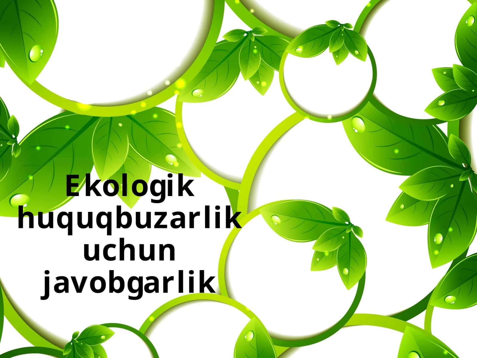 Ekologik huquq buzarganlik uchun javobgarlik 1