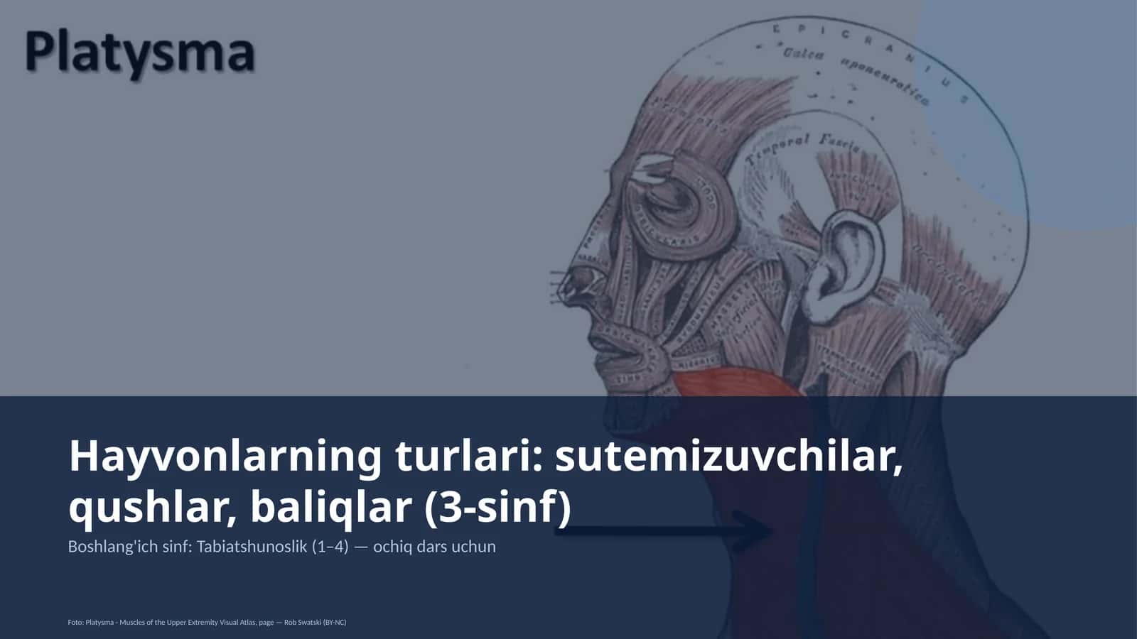 Tabiatshunoslik 1