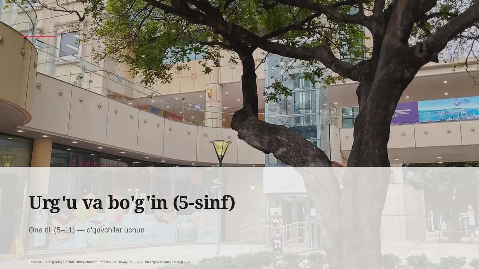 Urg'u va bo'g'in (5-sinf) 1