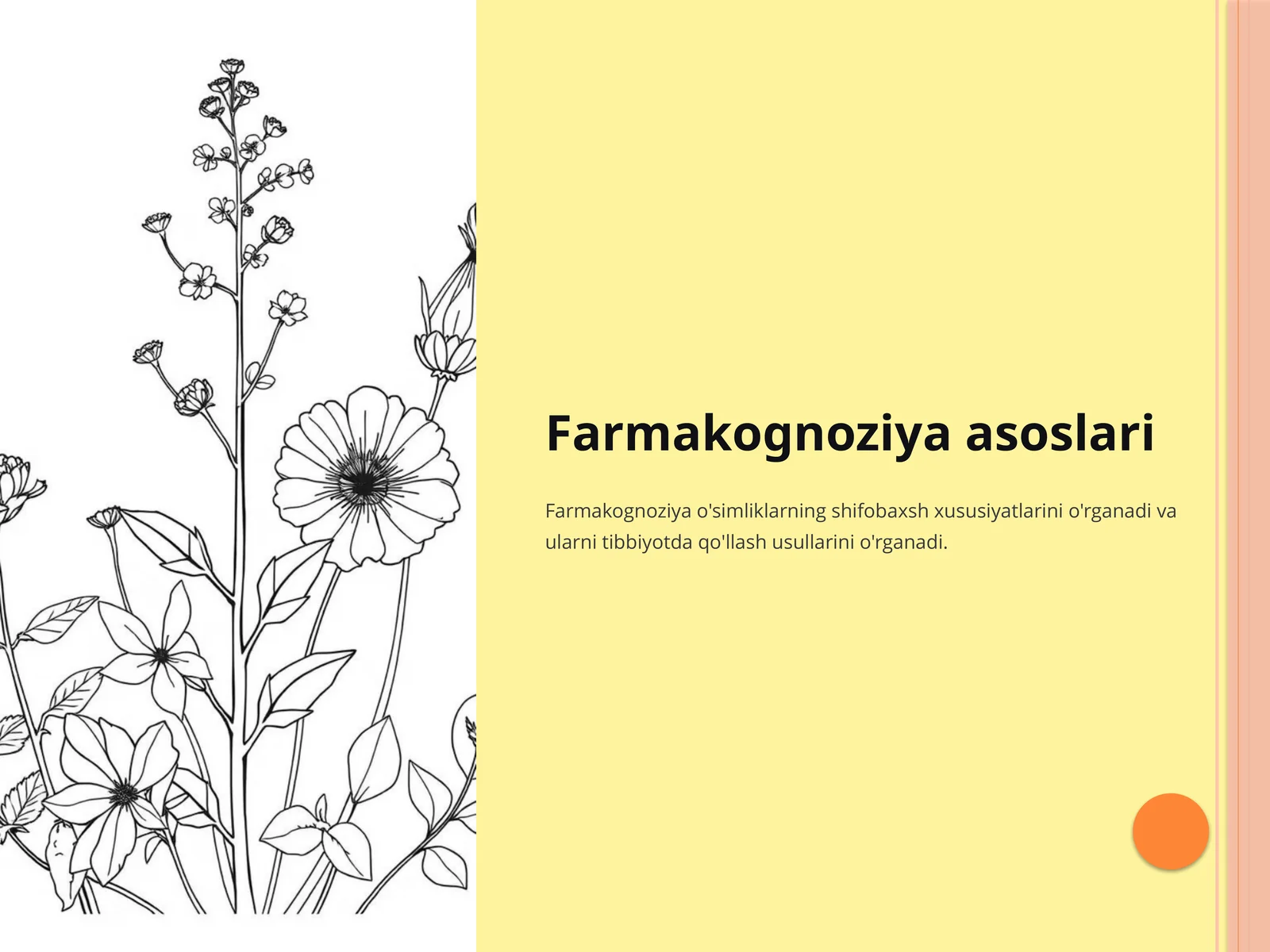 Farmakognoziya asoslari 1