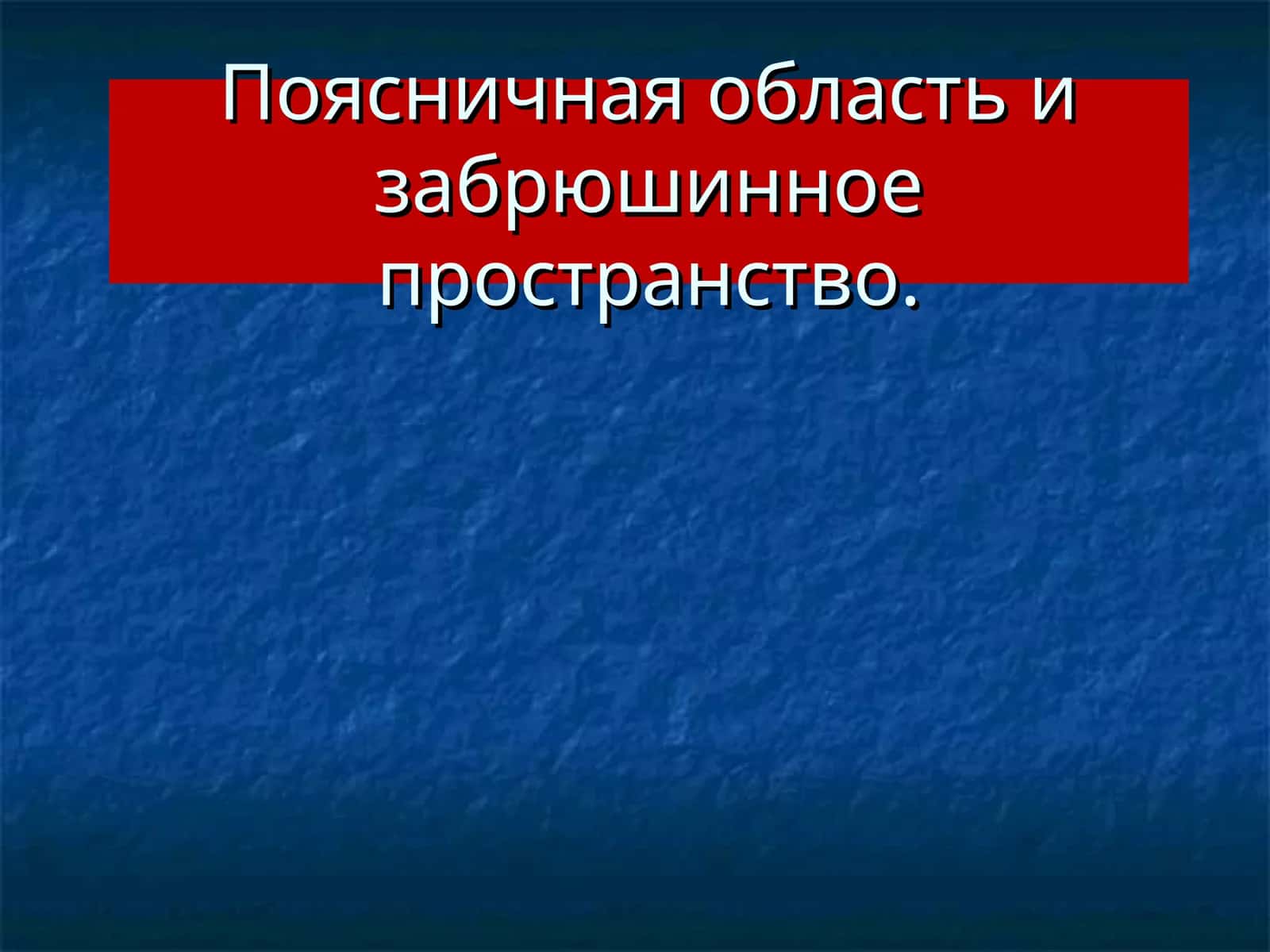 Поясничная область и забрюшинное пространство 1