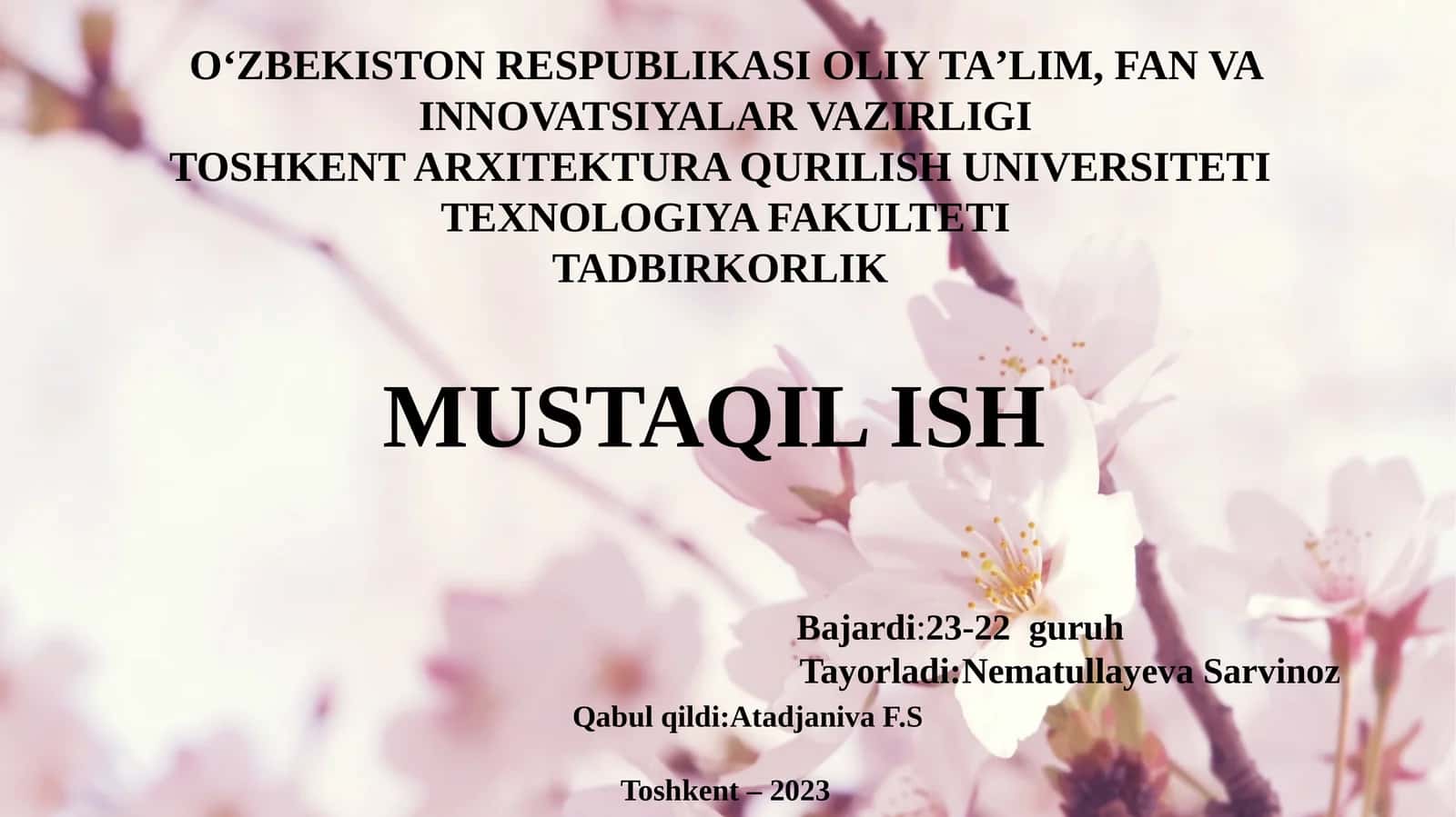 Tadbirkorlikni rivojlantirishning xorijiy tajribalari 1
