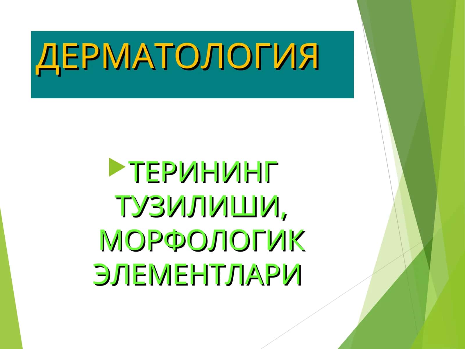 terining tuzilish elementlari 1