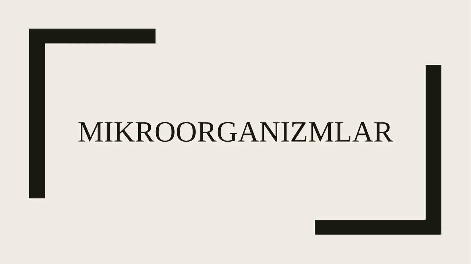 Mikroorganizmlar 1