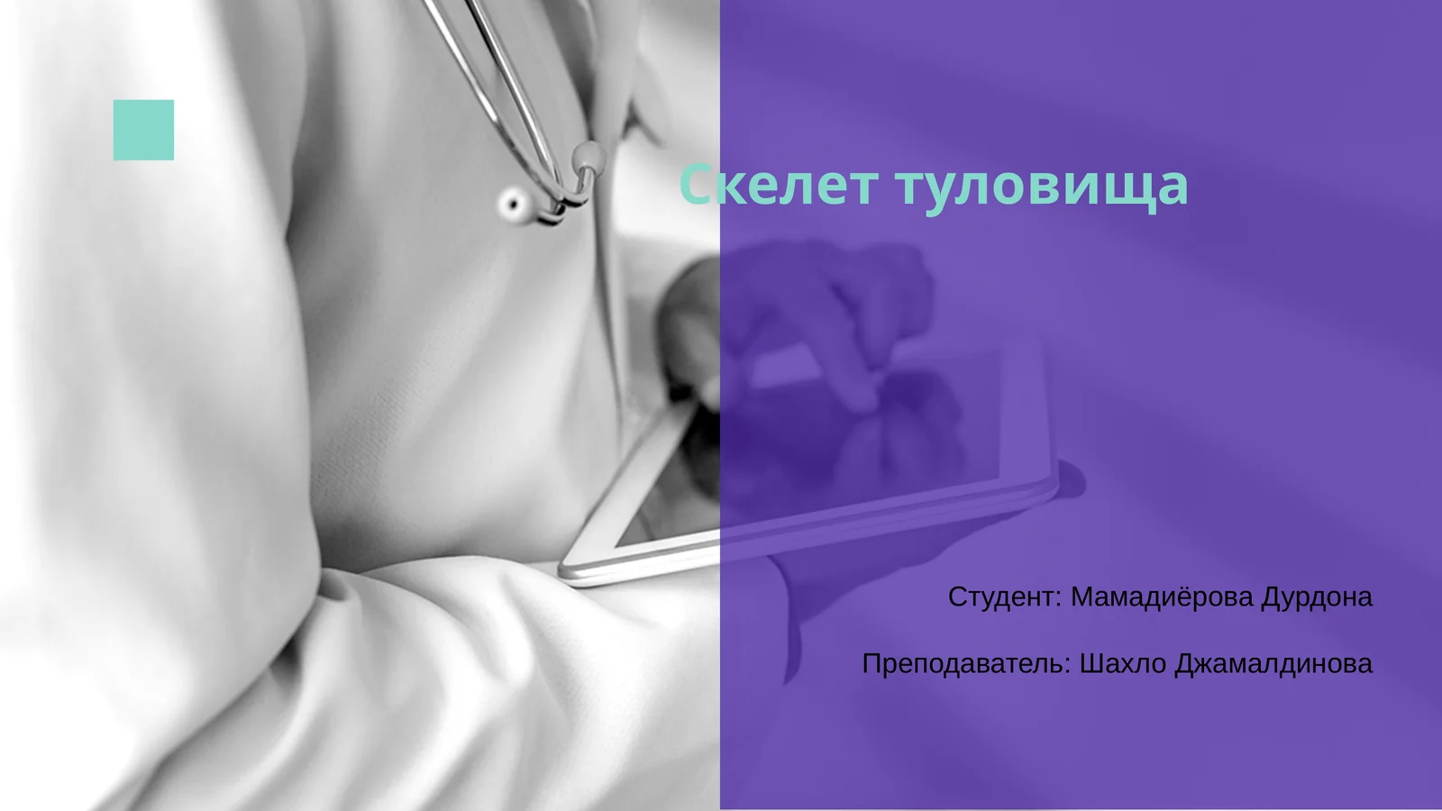 Скелет туловища 1