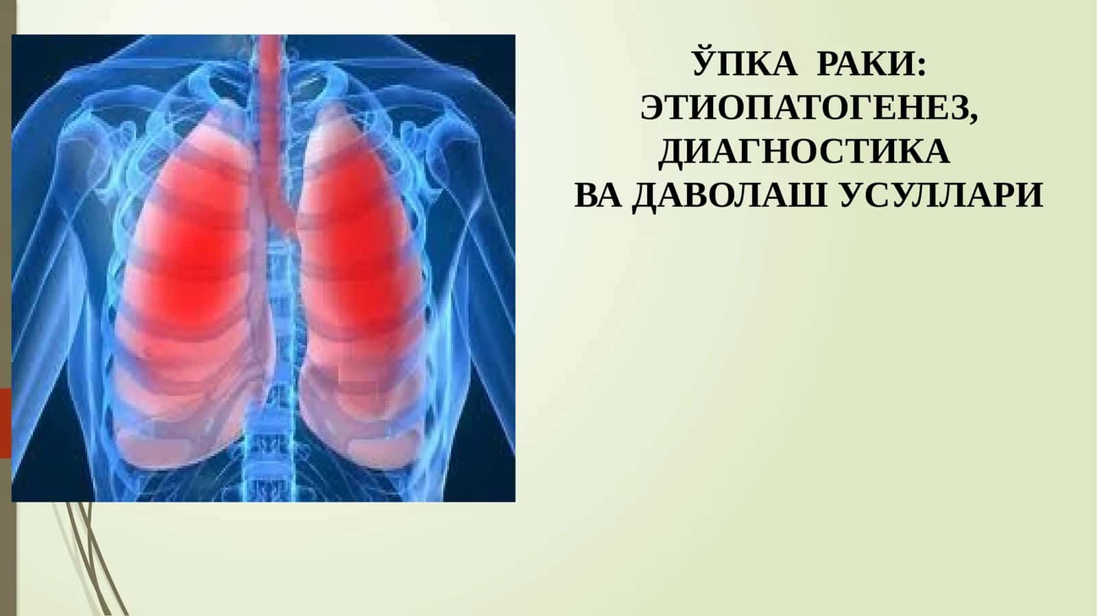ЎПКА РАКИ 1