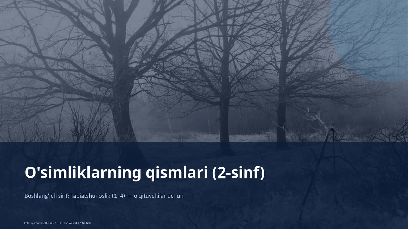 O'simliklarning qismlari (2-sinf) 1