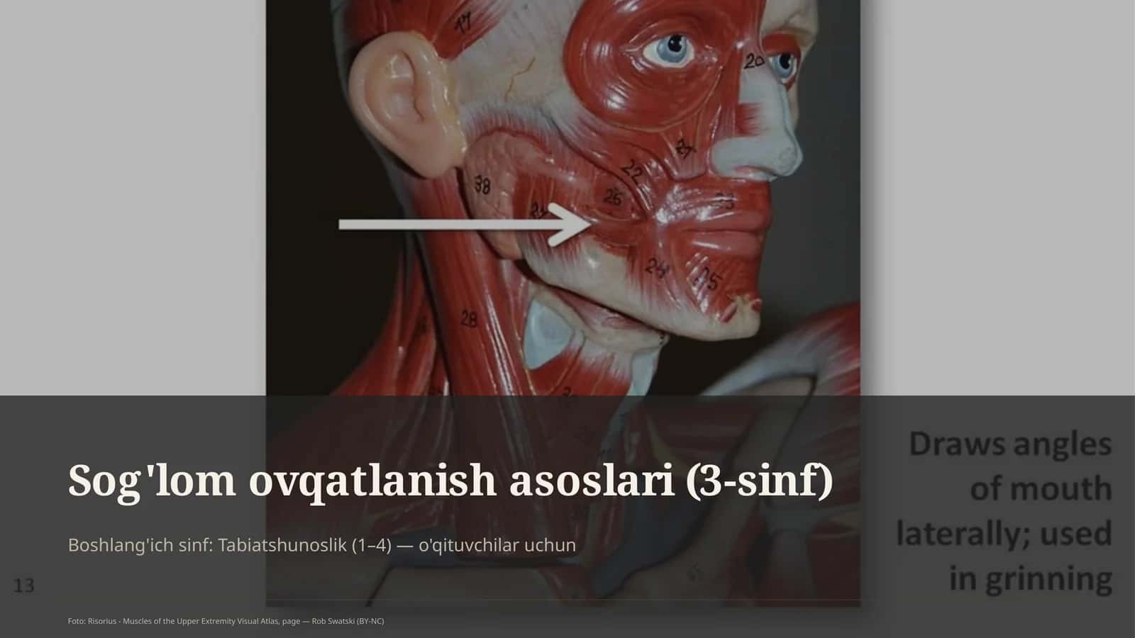 Sog'lom ovqatlanish asoslari (3-sinf) 1