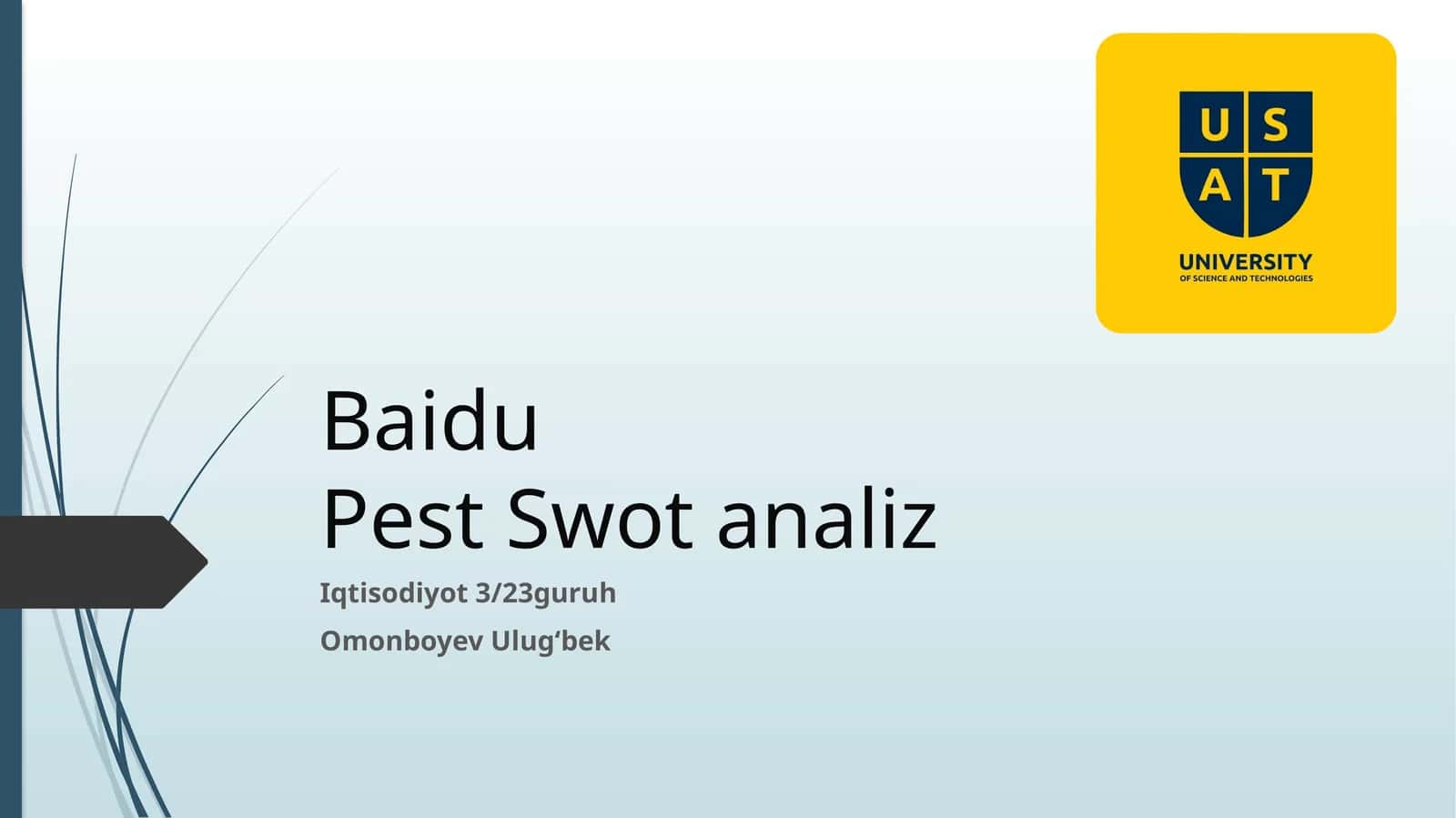 BaiduPest Swotanaliz 1