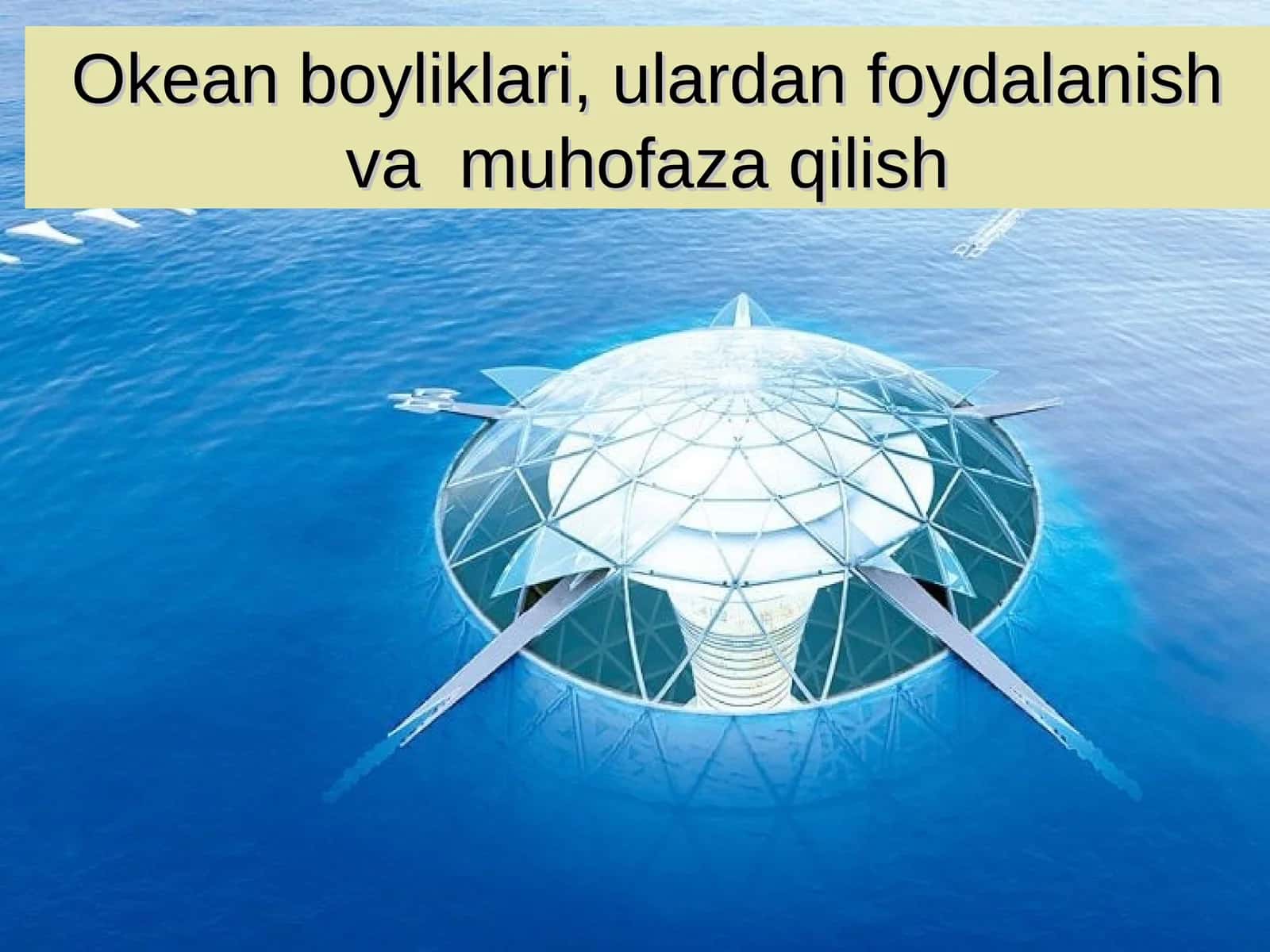 Okean boyliklari, ulardan foydalanish va muhofaza qilish 1