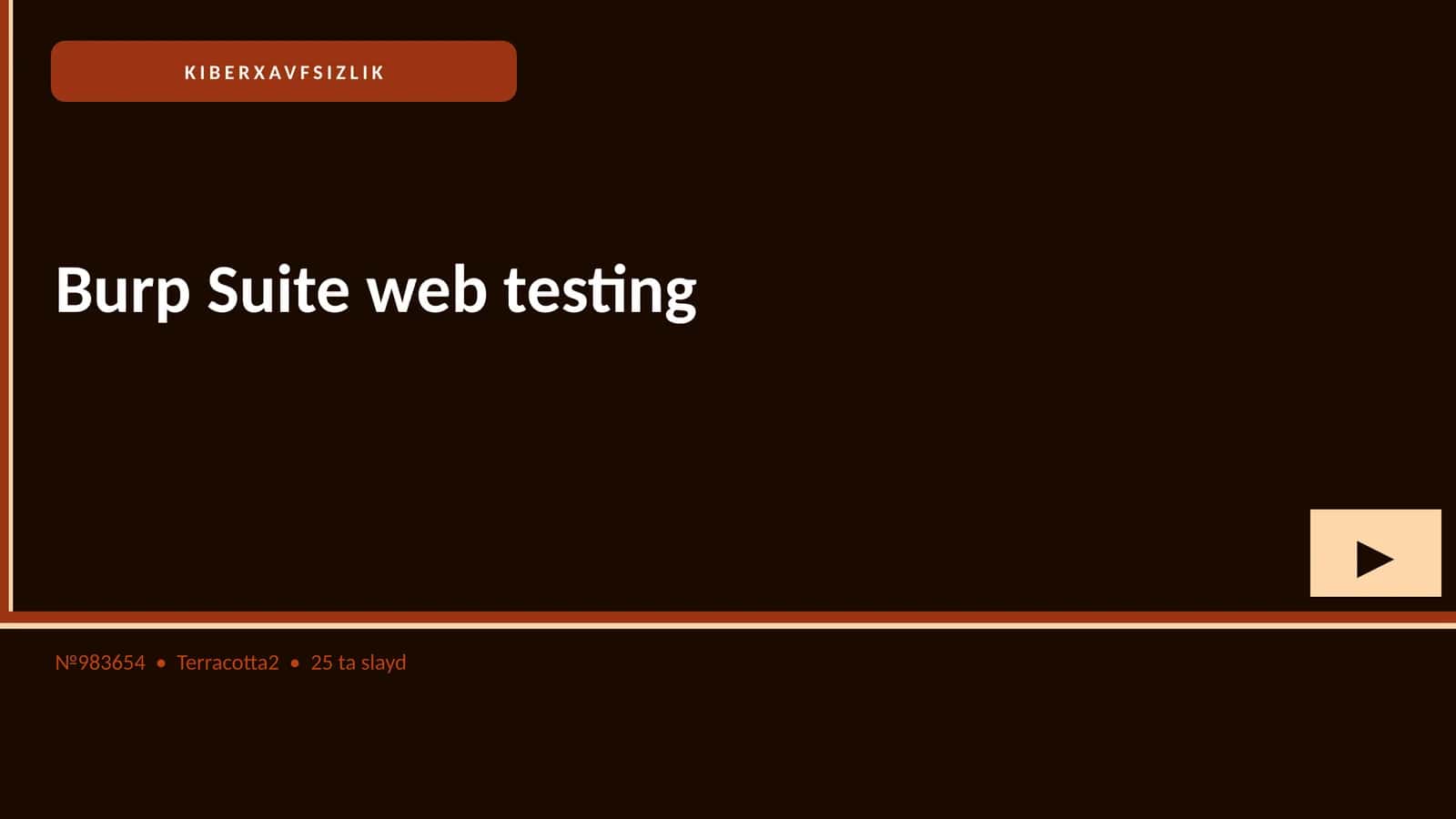 Burp Suite web testing 1