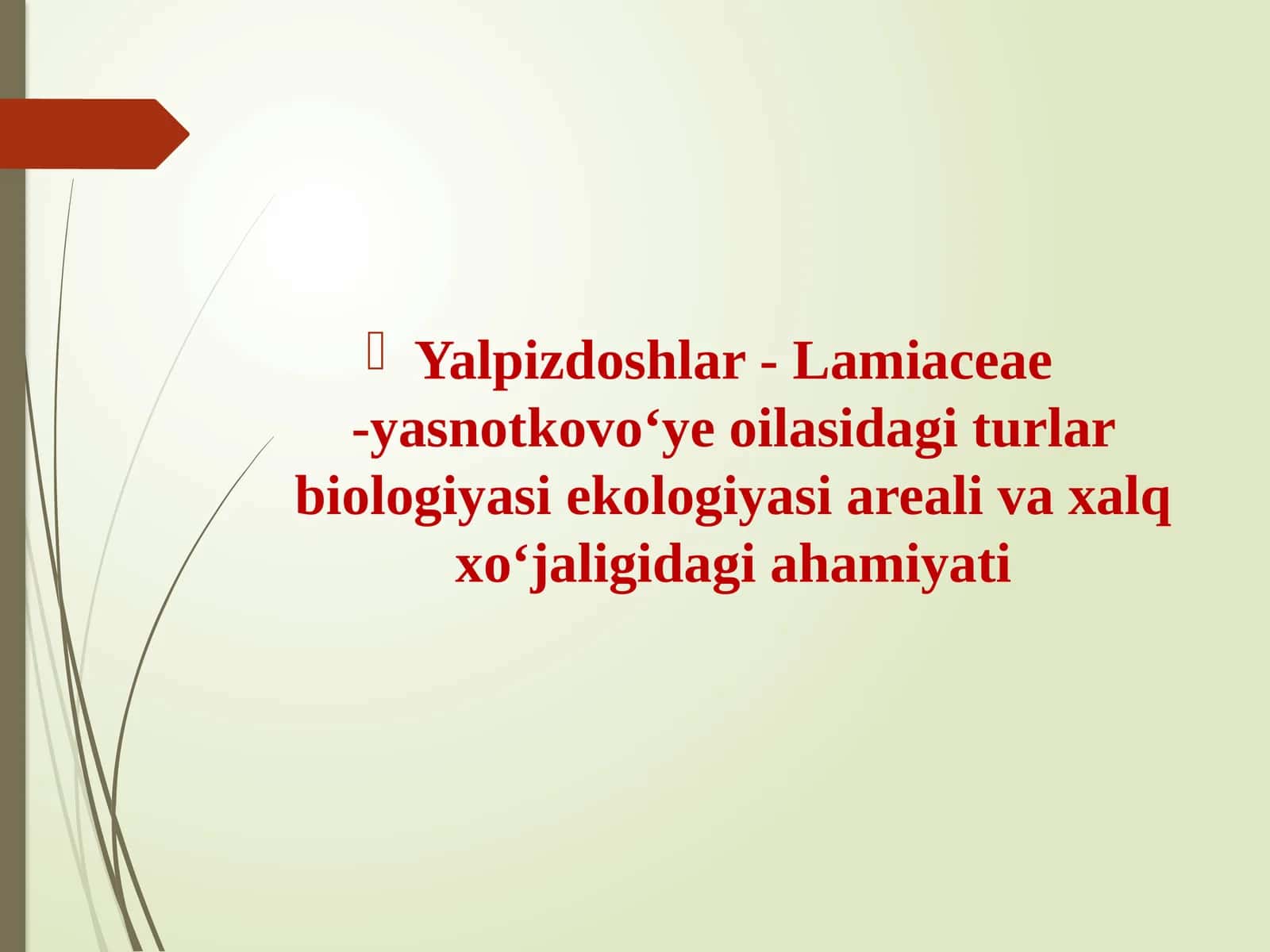 Yalpiz kabilar sinfchasi 1