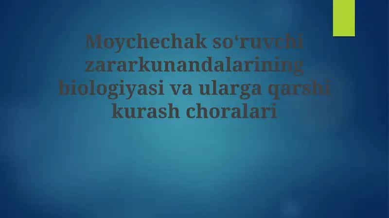 Moychechakning so‘ruvchi zararkunandalari 1