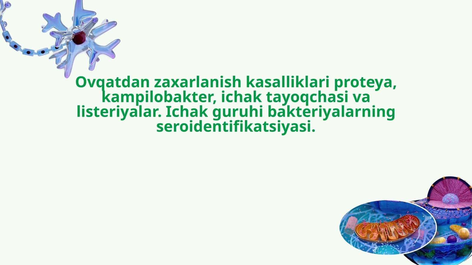 Ichak guruhi bakteriyalarining seroidentifikatsiya usullari va ahamiyati 1