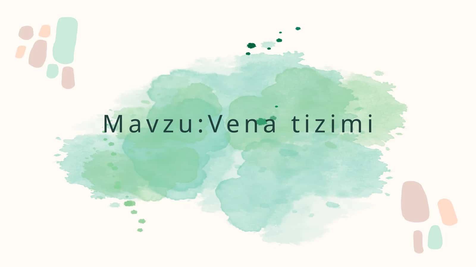 Vena tizimi 1