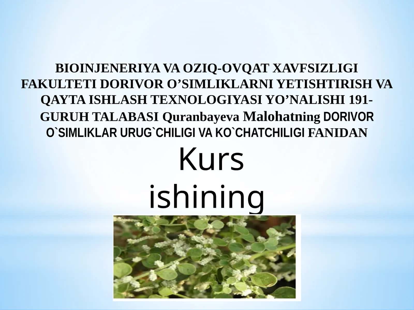 BIOINJENERIYA VA OZIQ-OVQAT XAVFSIZLIGI FAKULTETI DORIVOR O’SIMLIKLARNI YETISHTIRISH VA QAYTA ISHLASH TEXNOLOGIYASI YO’NALISHI 191-GURUH TALABA 1