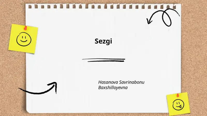 Sezgi 1