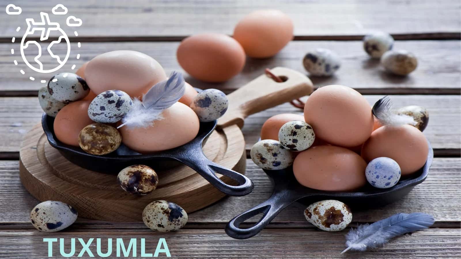 Tuxumlar 1