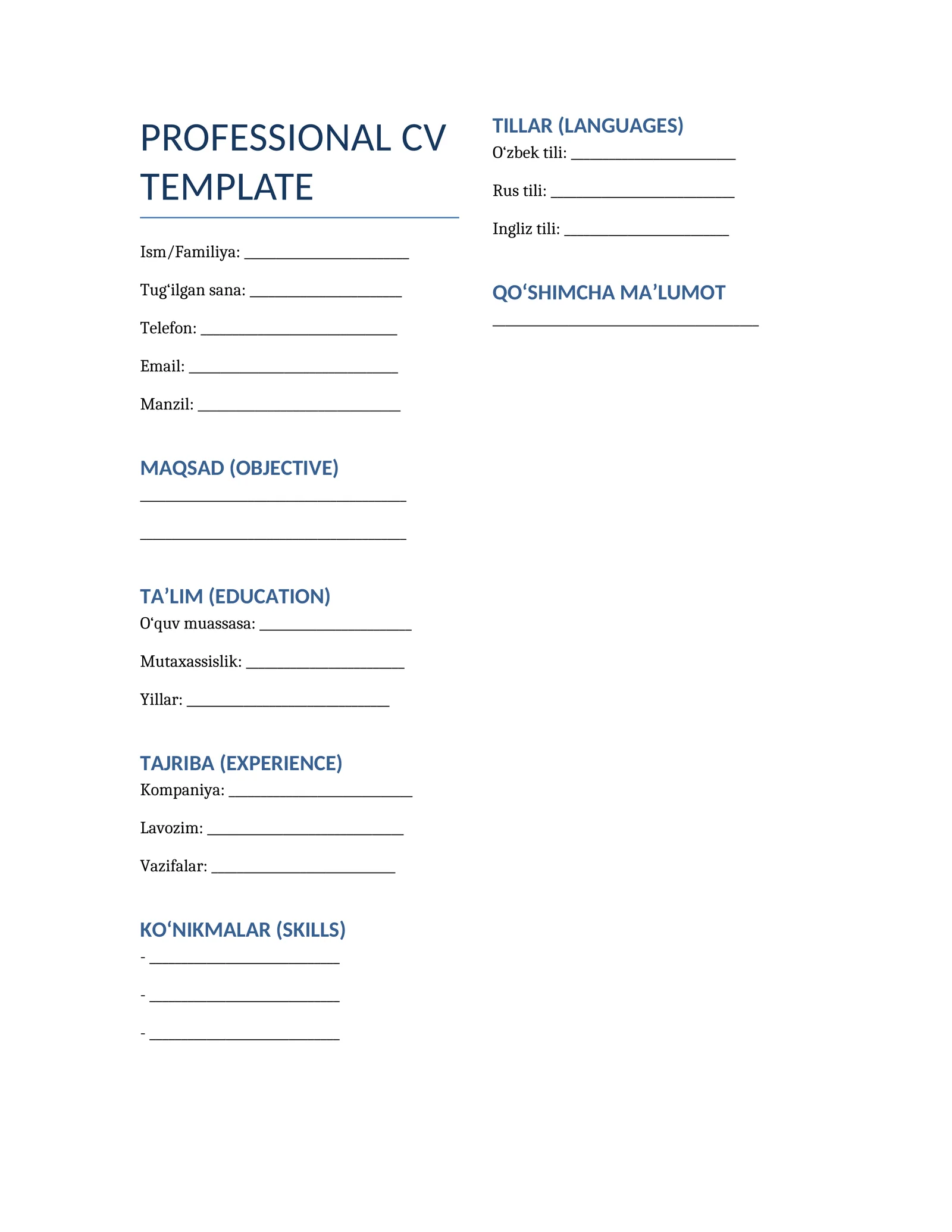 PROFESSIONAL CV TEMPLATE 1
