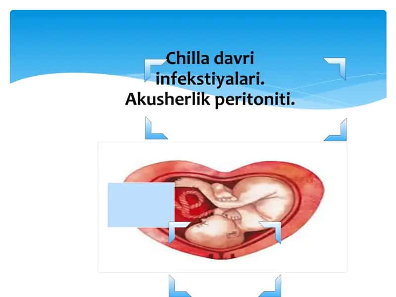 Chilla davri 1