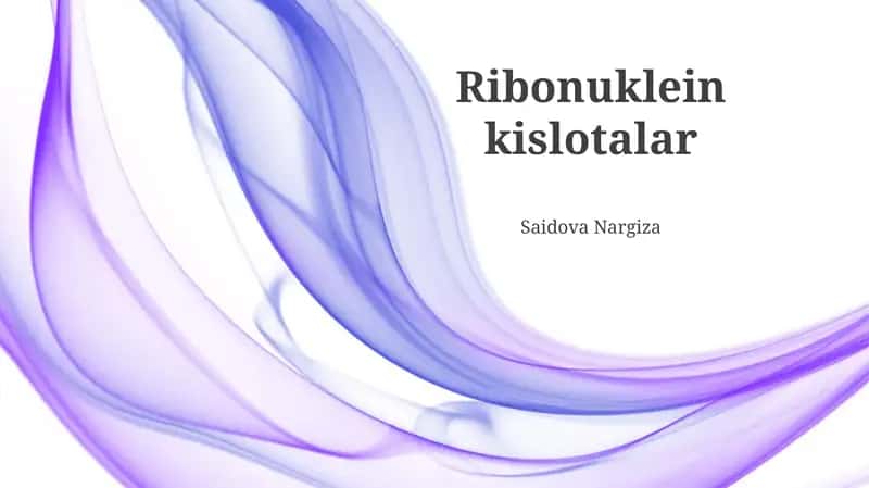 Ribonuklein kislotalar 1
