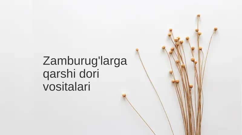 Zamburug'larga qarshi dorilarni vositalari 1