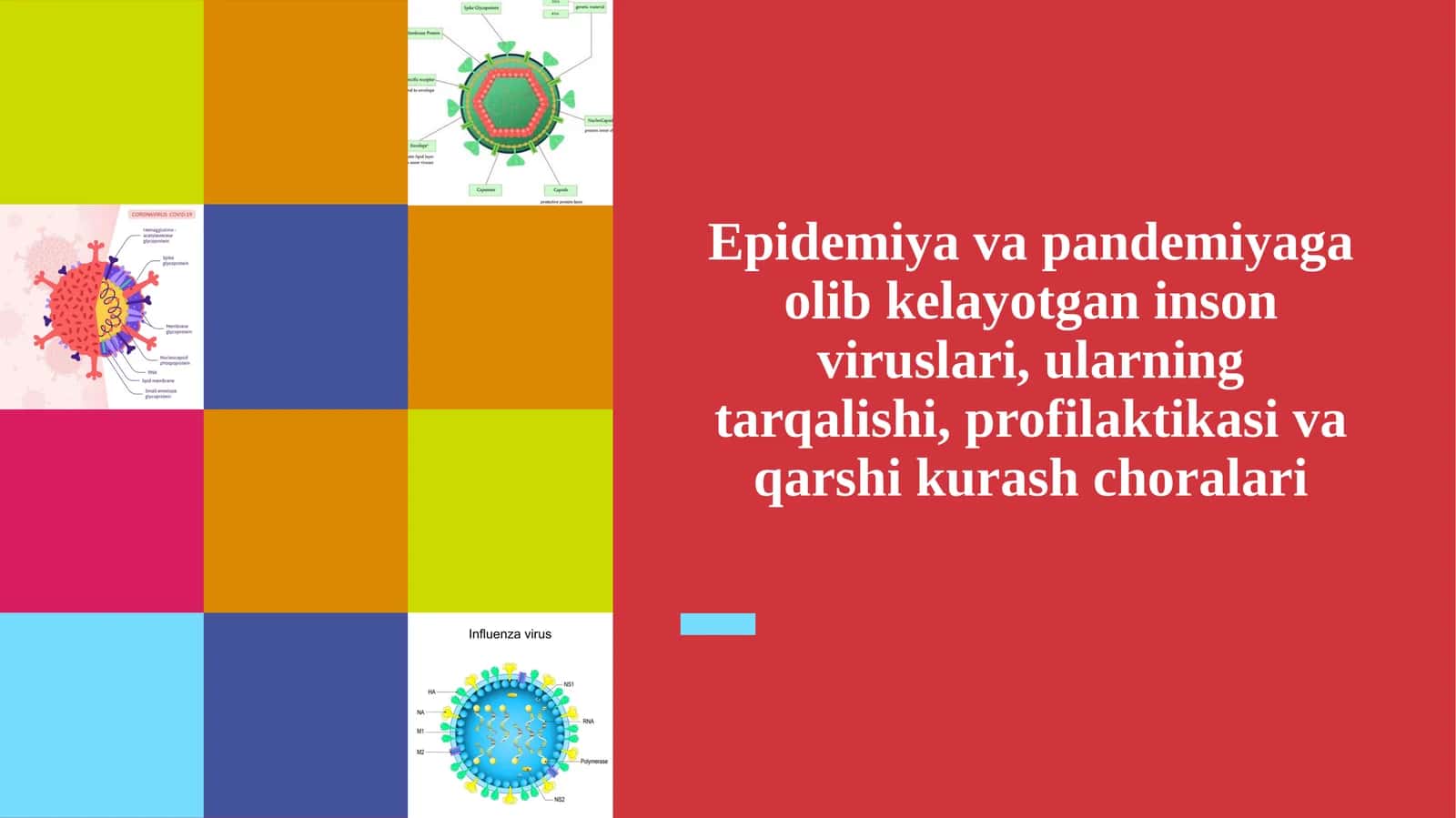 Epidemiya va pandemiyaga olib kelayotgan inson viruslari, ularning tarqalishi, profil 1
