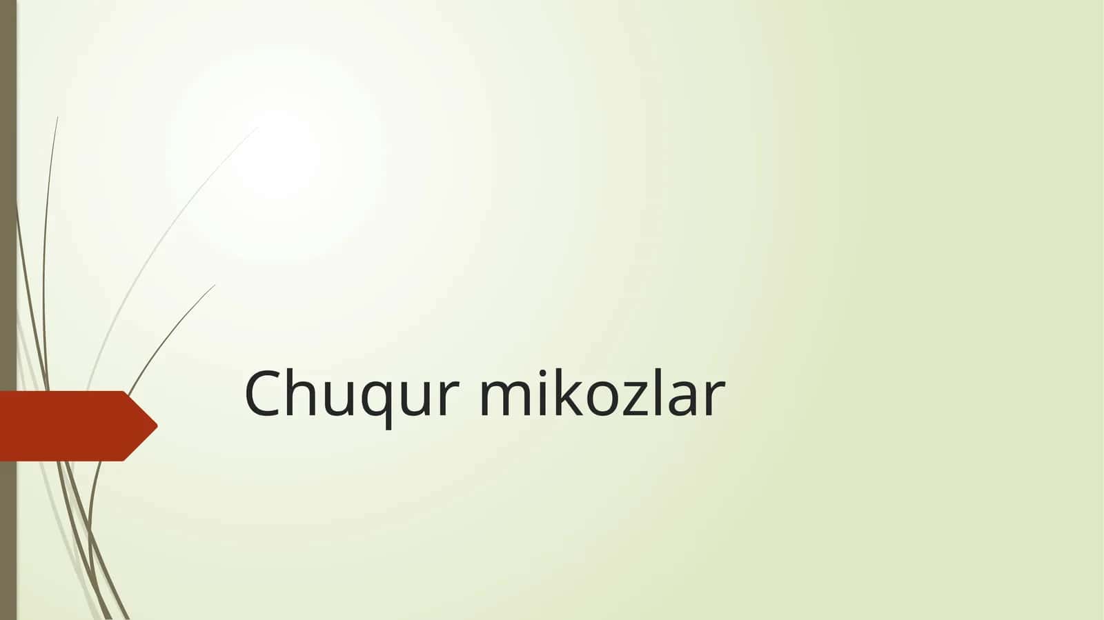 Chuqurmikozlar 1
