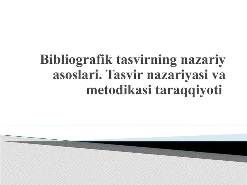 Bibliografik tasvirning nazariy asoslari. Tasvir nazariyasi va metodikasi taraqqiyoti 1