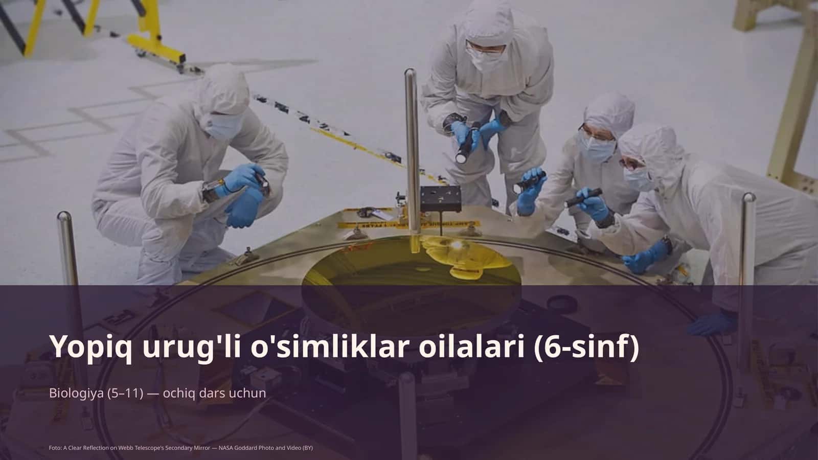 Yopiq urug'li o'simliklar oilalari (6-sinf) 1