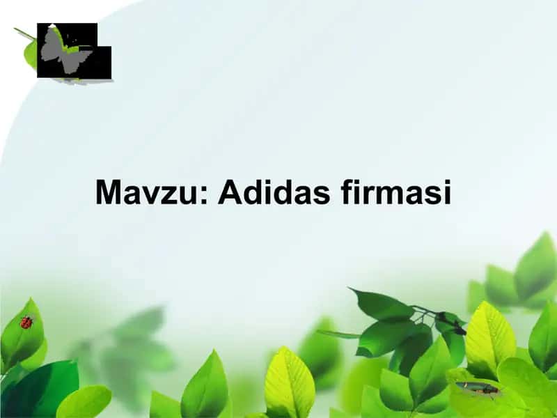 Adidas firmasi 1