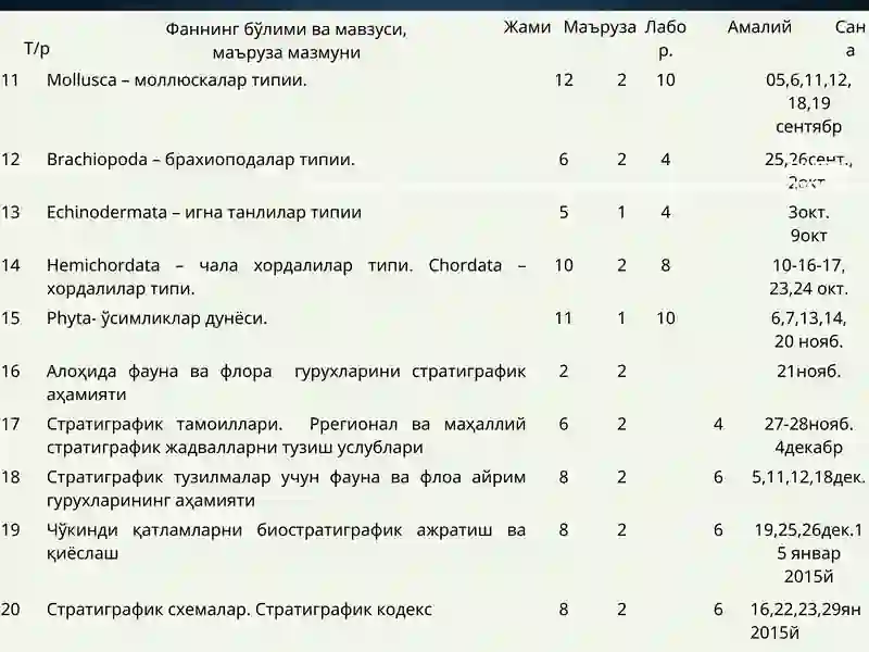 Mollusca – моллюскалар типии