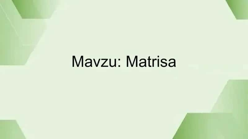 Matrisa 1
