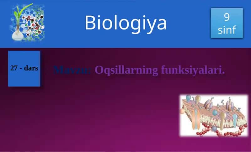 Oqsillarning funksiyalari 1