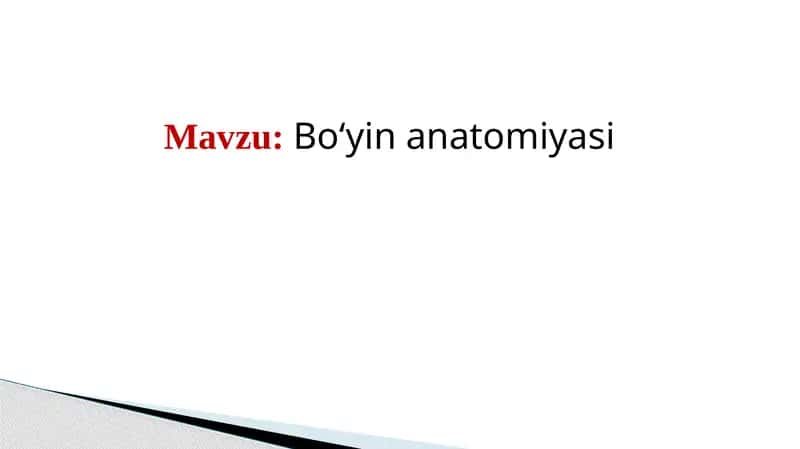 Bo‘yi anatomiyasi 1