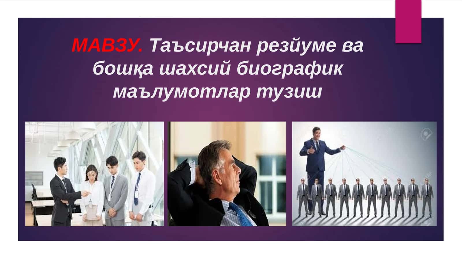 Резюме 1