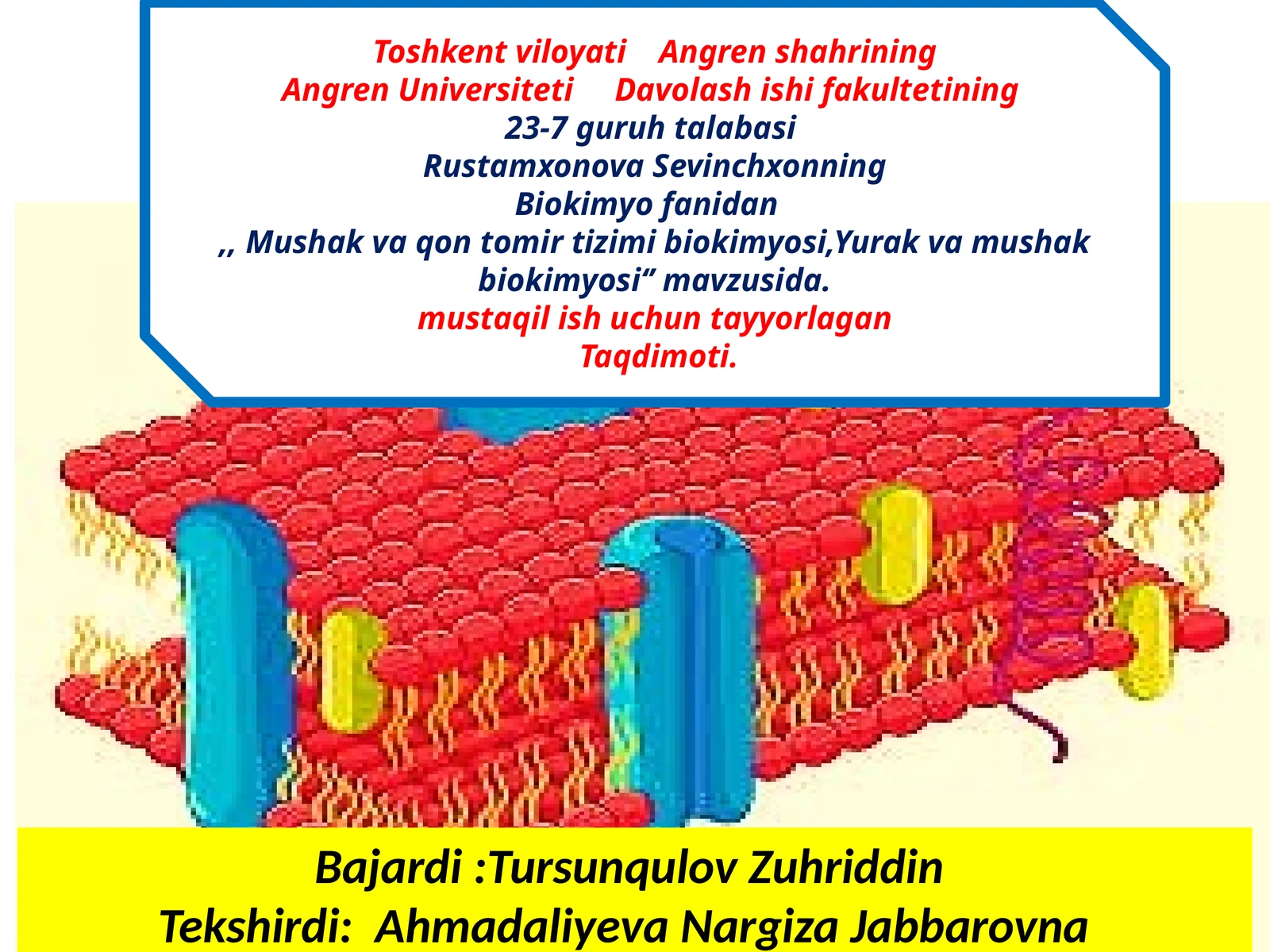 Yurak va mushak biokimyosi 1