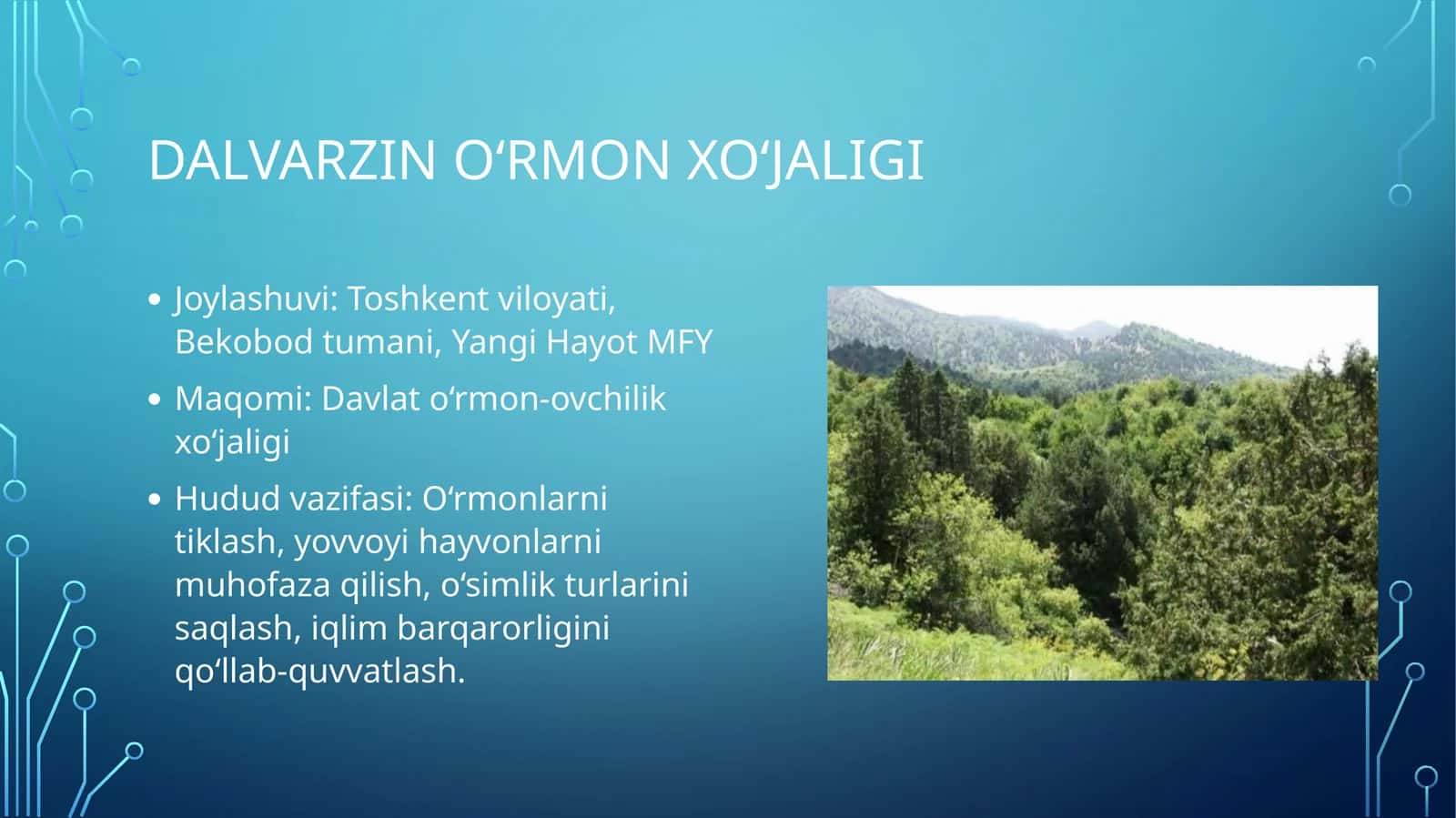 Toshkent viloyati Bekobod tumani EKOTURIZMI 1