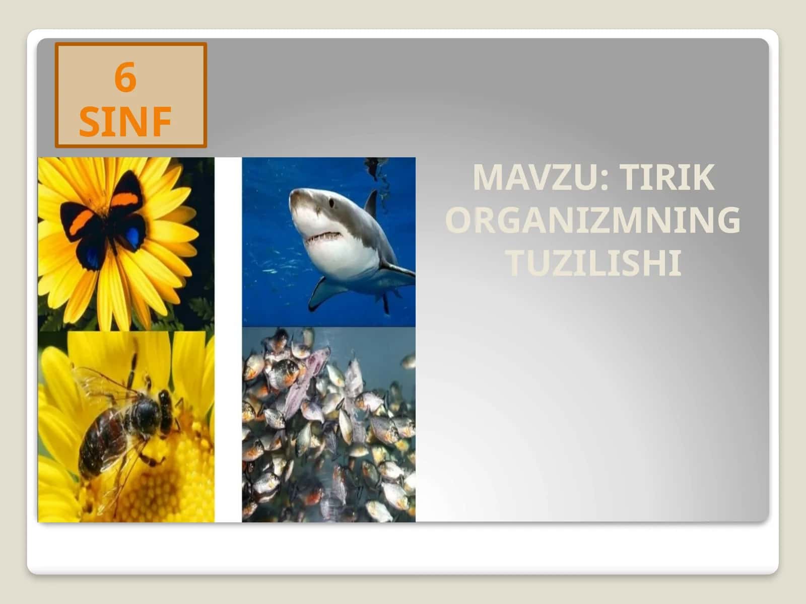 TIRIK ORGANIZMNING TUZILISHI 1