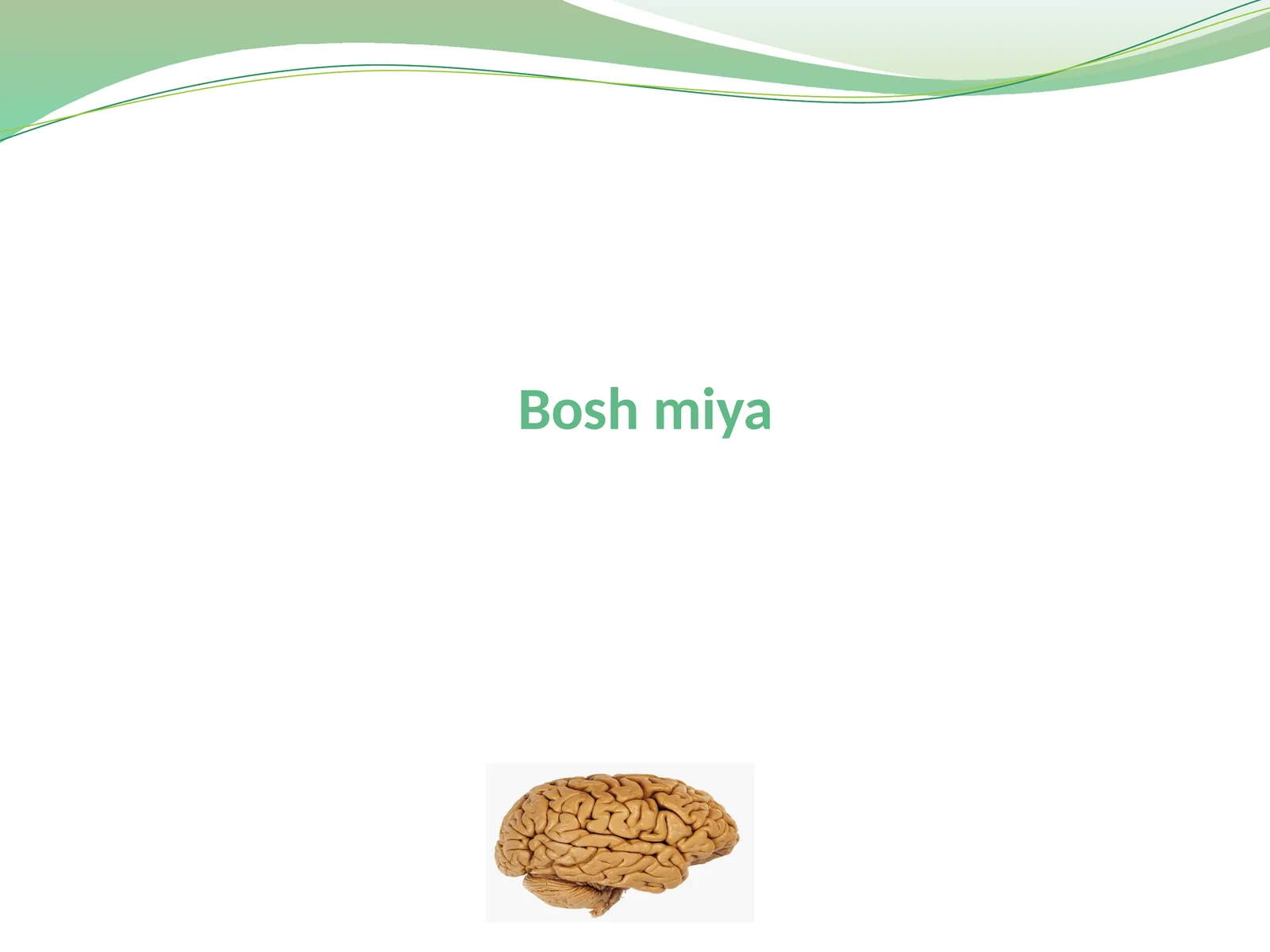 Boshmiya 1