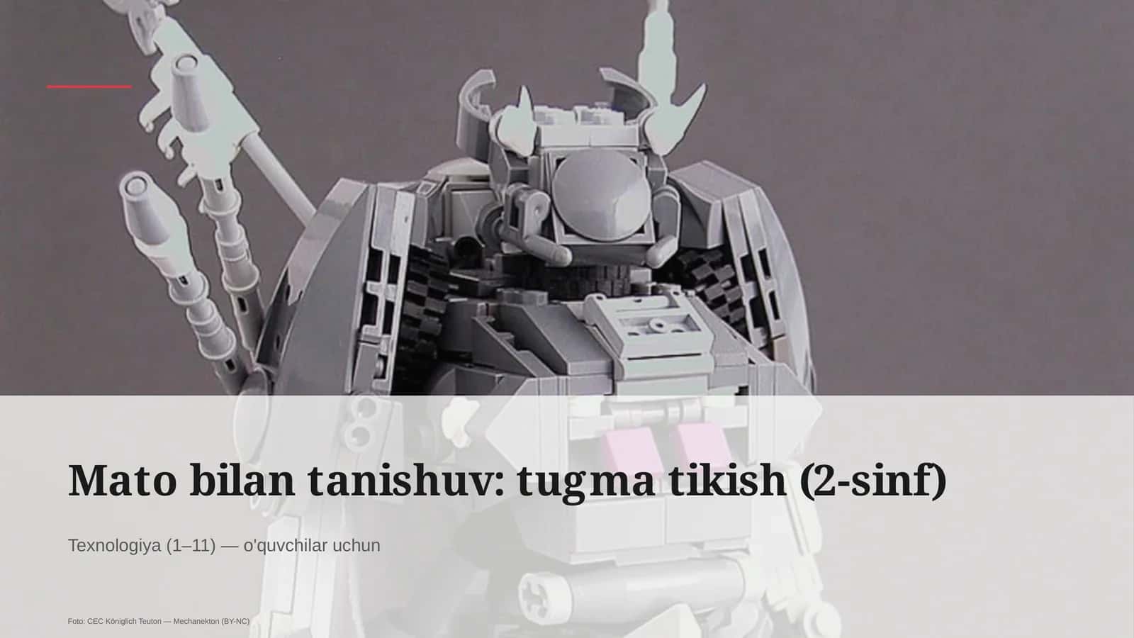 Mato bilan tanishuv: tugma tikish (2-sinf) 1
