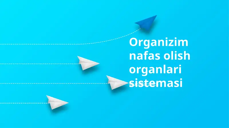 Organizim nafas olish organlari sistemasi 1