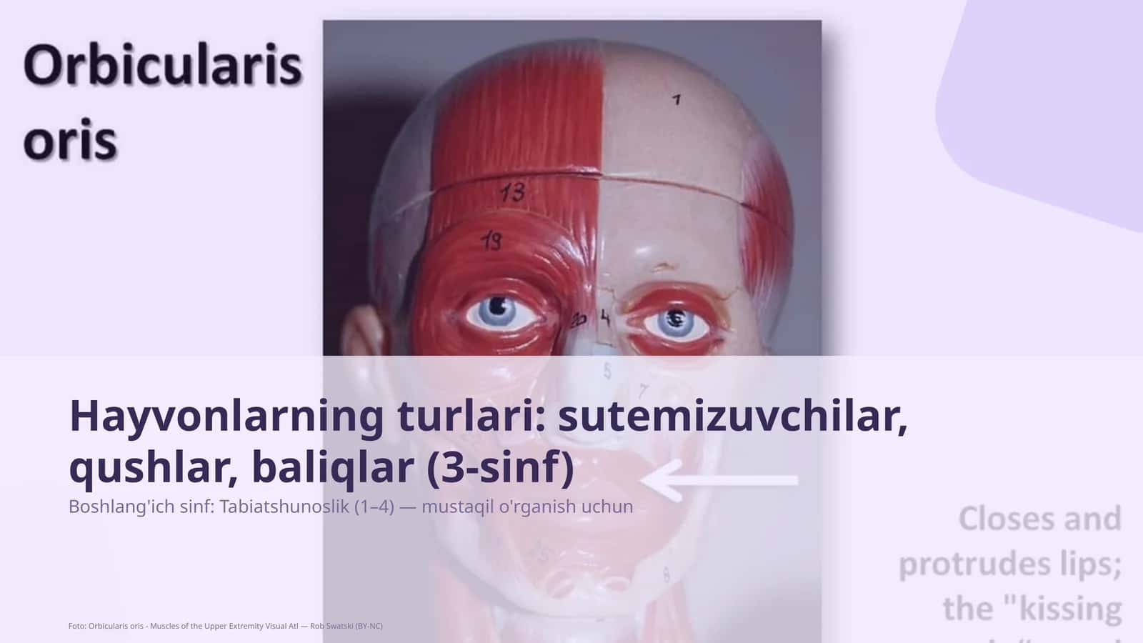 Tabiatshunoslik darsi 1