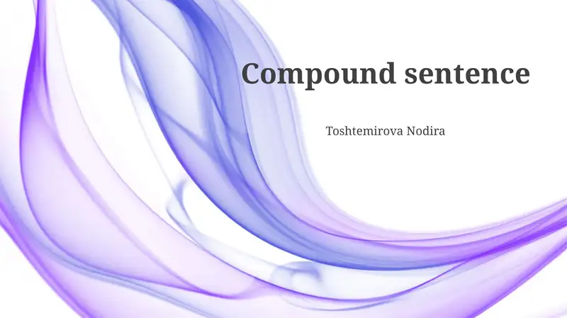 The Translation Process 1