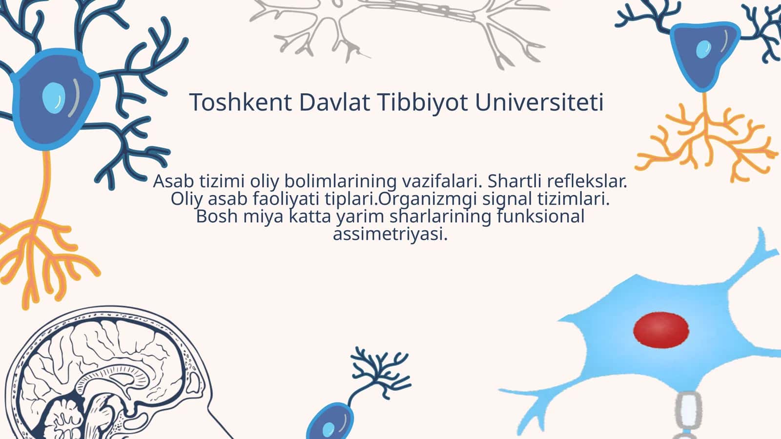Asab tizimi oliy bolimlarining vazifalari. Shartli reflekslar. Oliy asab faoliyati tiplari.Organizmg 1